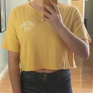 Pastel Yellow Cropped Tee